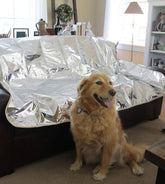 Enthusiast Gear Pet Repellent Mat front view deterring pets from furniture