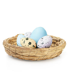 Eorbow nest in cage with bird for secure nesting and rest