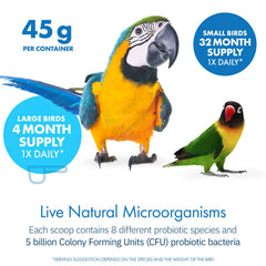 Daily probiotic powder sprinkled on bird food for convenience.