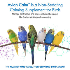 Dosing scoop beside Avian Calm bottle enables easy daily calm support.