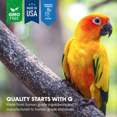 Avian Calm sprinkled on bird food to integrate calm support with meals.