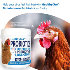 Equa Holistics HealthyGut dry scoop for convenient daily feeding
