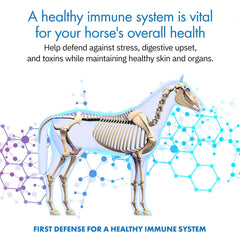 Equa Holistics HealthyGut foal syringes set for foal gut balance starter