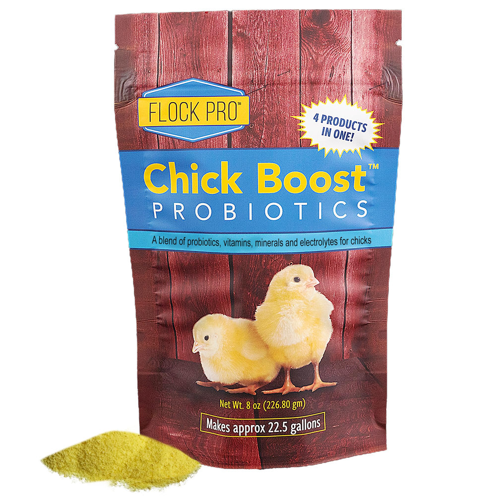 Equerry's Chick Boost probiotic powder for chick water mix supporting gut health