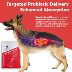 Equerry's Spunky Level II microencapsulated probiotics, for effective gut delivery.
