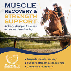 Equinety Horse XL hoof and joint area visual promoting hoof and joint support.