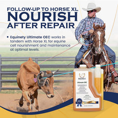 Close-up of Equinety Ultimate OEC label on the bottle showing premium ingredients.