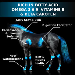 EQUIPURE Equine Oil ingredients reveal flaxseed, sunflower, carrot for fatty acids.