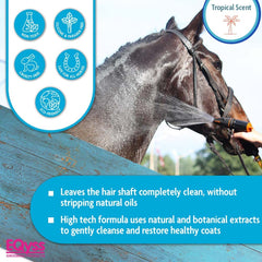 Rinse with Eqyss Premier Shampoo leaving a clean, glossy coat finish