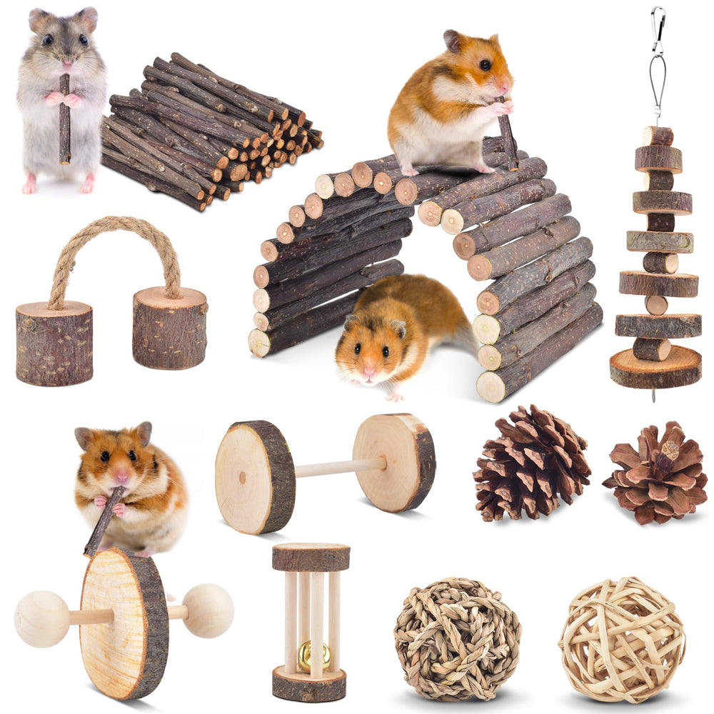 ERKOON 11-pack chinchillas chew toys with apple wood dumbbell for natural teething and play