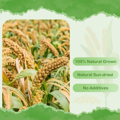 ERKOON Spray Millet Sprays close-up, a tasty foraging reward for birds.