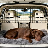 ERYTLLY dog car barrier, SUV side view, safer travel for pets