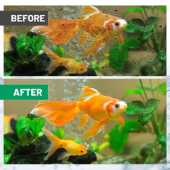 Esctabalt ready-to-use filter element simplifies setup and reduces mess.
