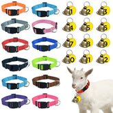ETCYAOXIN 12-pack goat collars with bells for easy tracking.