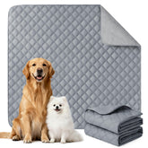 Eterish 54x54 dog pee pad two-pack, front view, high coverage for large dogs.