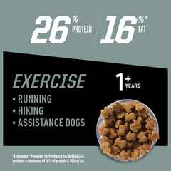 Eukanuba Premium Performance kibble closeup for protein-rich energy supporting active dogs