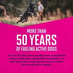 Eukanuba Puppy Mixed Grill image3: serving in bowl encourages fluid intake
