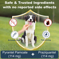 Euphea chewable beef flavor tablets ready for quick administration