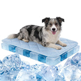 EursurePet dog cooling mat 35x23 on the floor delivering cooling relief