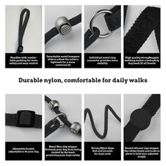 EverKing adjustable-slip-lead offers versatile control for dogs of various sizes.