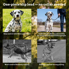 EverKing durable-nylon-6ft leash withstands daily walks and training sessions.