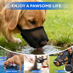 Evollax XL muzzle illustrating snout measurement guide