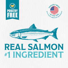 Evolve Simply Salmon dry dog food bag label—US-made promise for quality and simple ingredients.