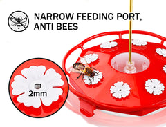 eWonLife saucer feeder with eight feeding ports supports busy nectar visits.