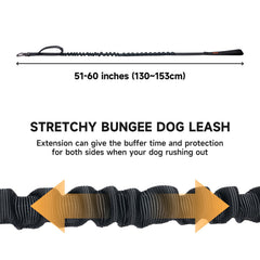 Two-handled design for quick, confident control during walks by EXCELLENT ELITE SPANKER.