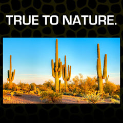 Natural heat conduction supports stable terrarium temperatures in Exo Terra Desert Sand.