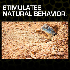 Exo Terra Desert Sand in a terrarium setup highlighting realistic desert habitat.