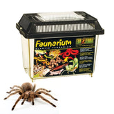 Exo Terra Faunarium Small front view shows clear visibility for quick checks during transport