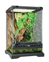 Exo Terra Glass Nano Terrarium front doors for easy feeding and maintenance