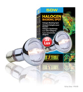 Exo Terra Sun Glo basking lamp warms the terrarium basking spot