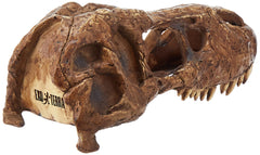 Exo Terra T-Rex skull hide-out helps create humidity and shelter in terrariums.