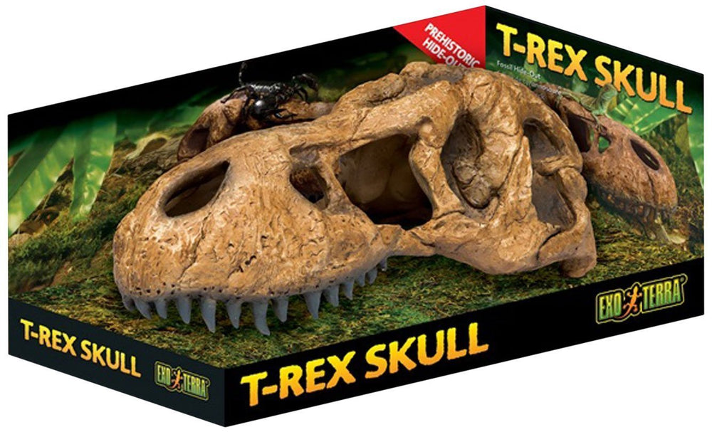 Exo Terra T-Rex skull terrarium decor adds realism and a secure hide.