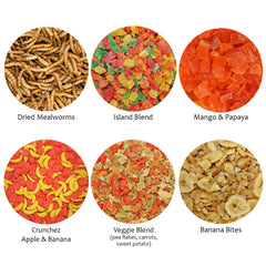 Exotic Nutrition dried mealworms 1.41oz as rewards for foraging.
