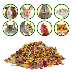 Exotic Nutrition herbivore treats boost daily enrichment and reduce boredom in pets.