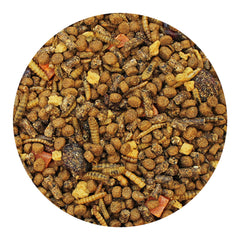 Exotic Nutrition Opossum Complete bsfl insects, high calcium source for bone-supporting nutrition.