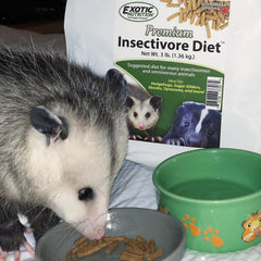 USA-made Exotic Nutrition Premium Insectivore Diet emphasizes small-batch quality.