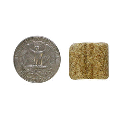 Exotic Nutrition Rodent Blocks promote dental workout for rodents.