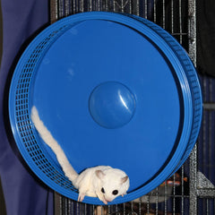 Exotic Nutrition Silent Runner Pro front plate demonstrates safe entry design.