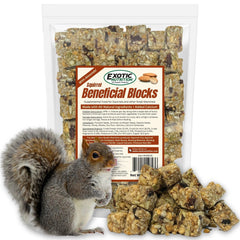 Exotic Nutrition Squirrel Beneficial Blocks ingredients close-up for nutritious snacking