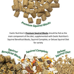 Exotic Nutrition Squirrel Complete ingredients close up with fresh veggies and seeds.