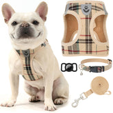 EXPAWLORER plaid dog harness on a dog during a walk