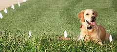 Extreme Dog Fence wire with HMW polyethylene coating shields from UV and moisture.