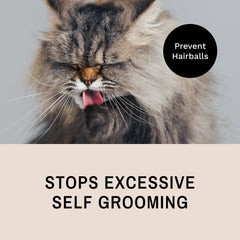 Eye Envy ProGlide rounded tips protect skin during brushing close-up