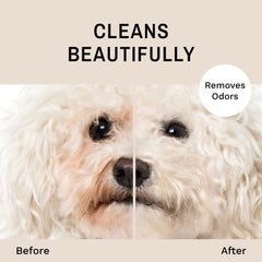 Eye Envy tear stain cleanser face wash closeup for pet hygiene