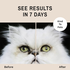 Eye Envy Tear Stain Wipes natural formula safe for cats and kittens