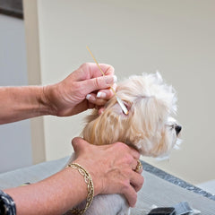 eyxformula high absorbency swabs help remove moisture after baths.